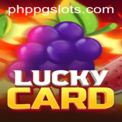 Discovering LuckyCard: A Journey through Gameplay and Strategy
