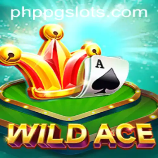 Exploring WildAce: An In-Depth Guide